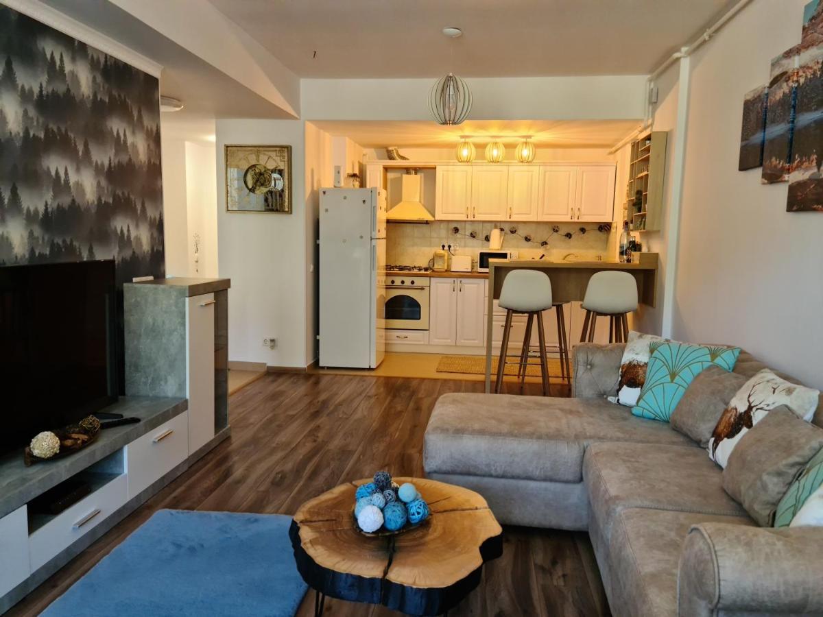 Vintage Home Sinaia Ngoại thất bức ảnh